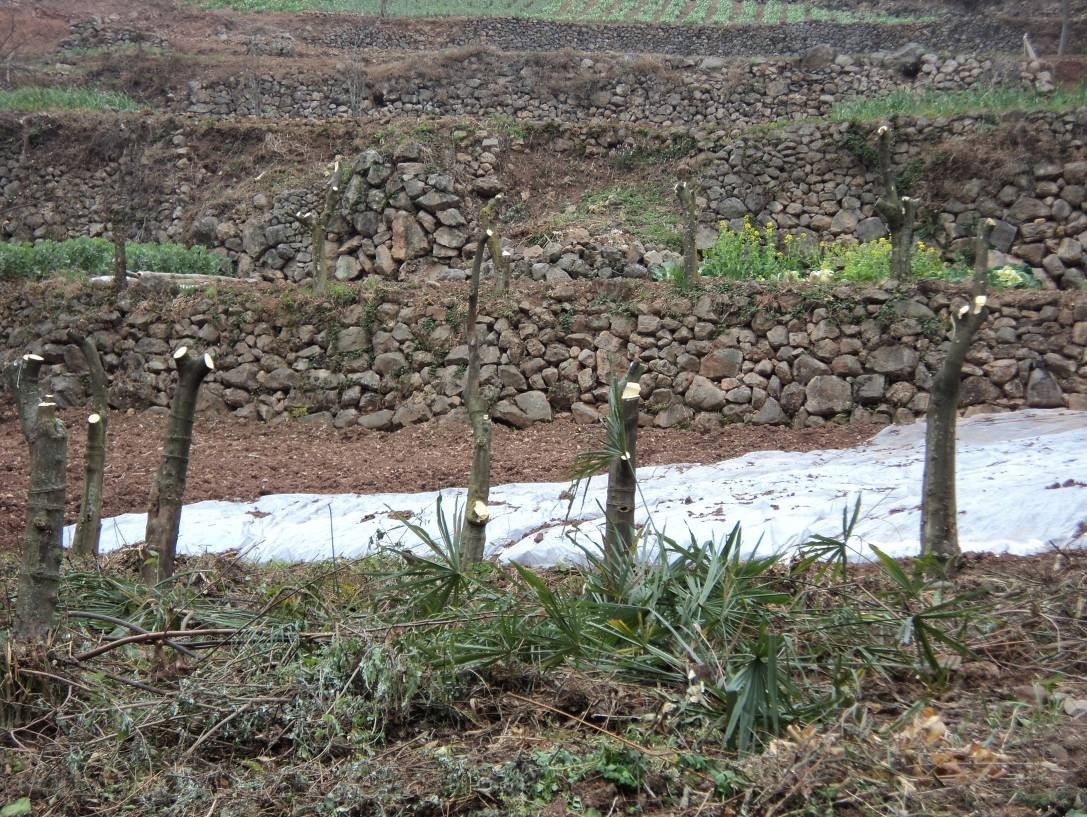  p>永乐镇,隶属于四川省南充市仪陇县,地处 a target="_blank" href="