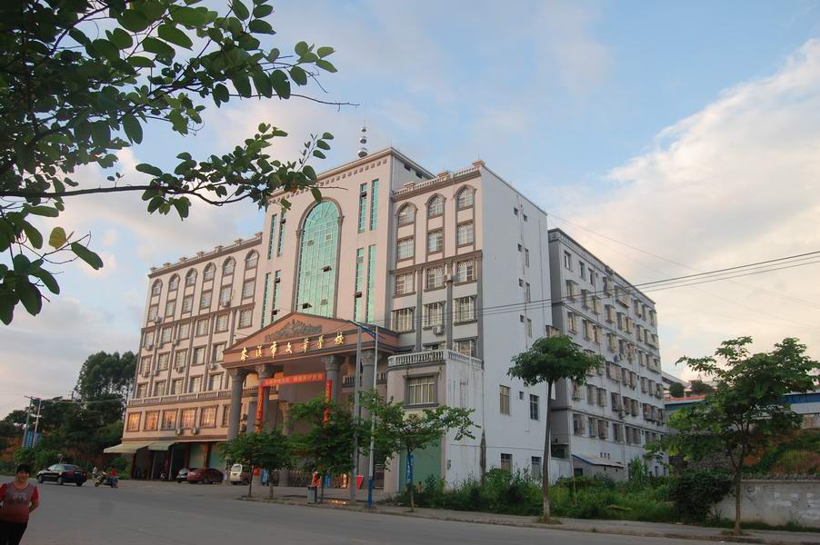 岑溪文华学校