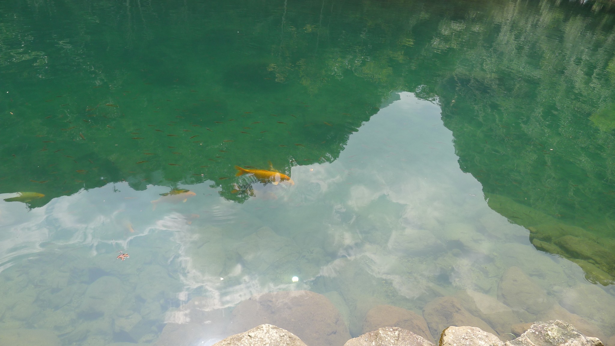  p>浴仙湖位于 a target="_blank" href="/item/砚山县/1201287" data