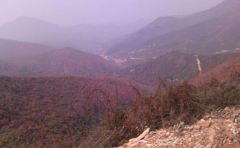  p data-id="gnb6s6fmnf">达力加山位于甘南藏族自治州夏河县甘加乡