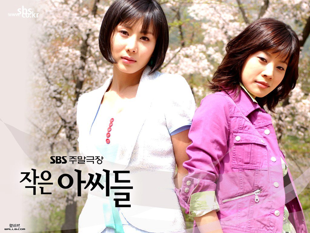  p>《小妇人》是韩国sbs电视台于2004年4月24日播出的家庭剧,由高兴植