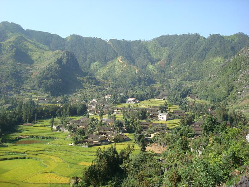 p>杉树一自然村,隶属于云南省文山壮族苗族自治州麻栗坡县铁厂乡普龙