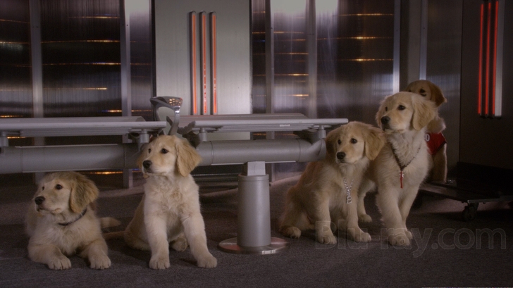  p>《太空犬》是由罗伯特·文斯执导的一部科幻/家庭类影片,狄尔里奇