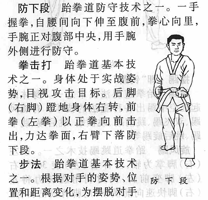 "gn0dupuvqw">防下段, a target="_blank" href="/item/跆拳道/14455"