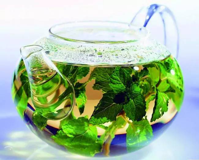 熏衣草薄荷茶