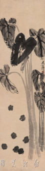 芋头小鸡