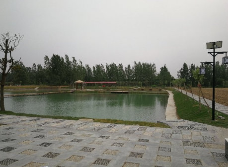 <p>望疃镇风景