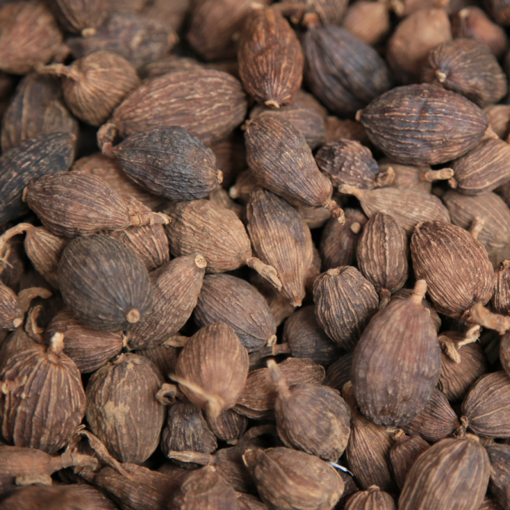  p data-id="tzclqhycxe5h">肉蔻,是肉豆蔻科肉豆蔻属小乔木植物.