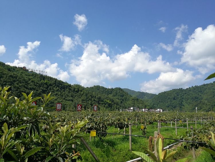  p>马场坪街道,隶属于贵州省黔南布依族苗族自治州福泉市,位于 a