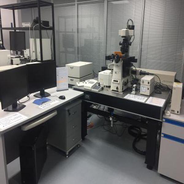 双光子共聚焦显微镜