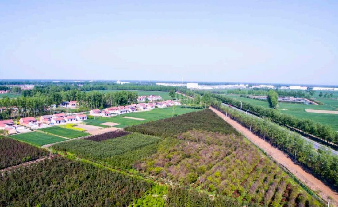  p data-id="gnzx2cd2oq">官墩乡(已撤销),隶属于江苏省沭阳县,地处 a