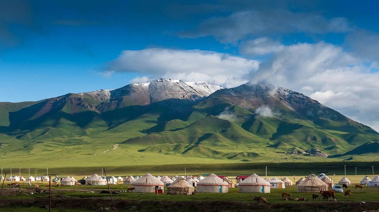 新疆地区 全网资源