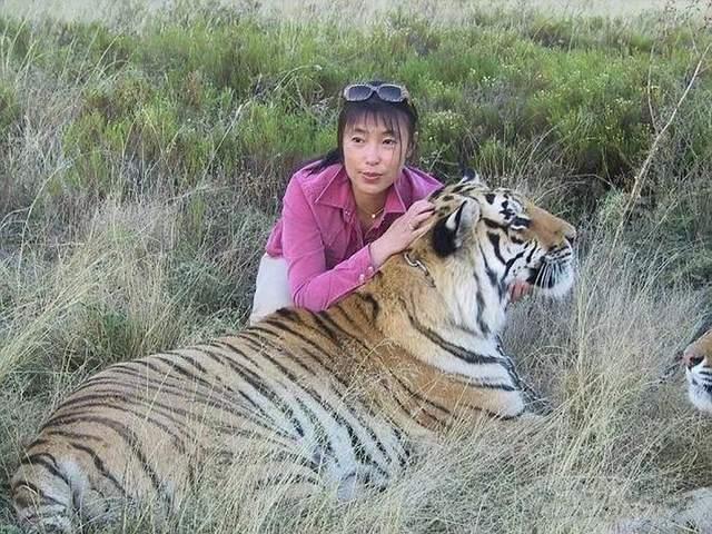 19年前,海归女硕士借走5只华南虎，放养在非洲草原，如今人已失联_百科TA说