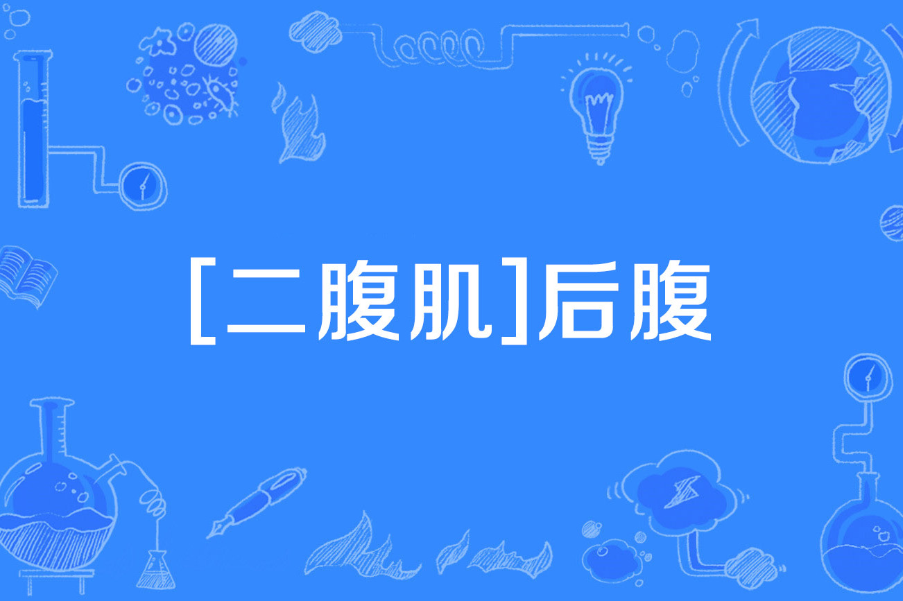  p>[二腹肌]后腹(posterior belly of digastric)是2014年公布的人体 