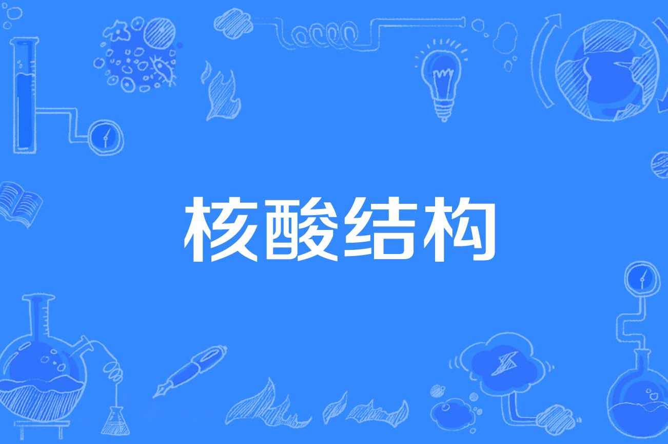 核酸结构