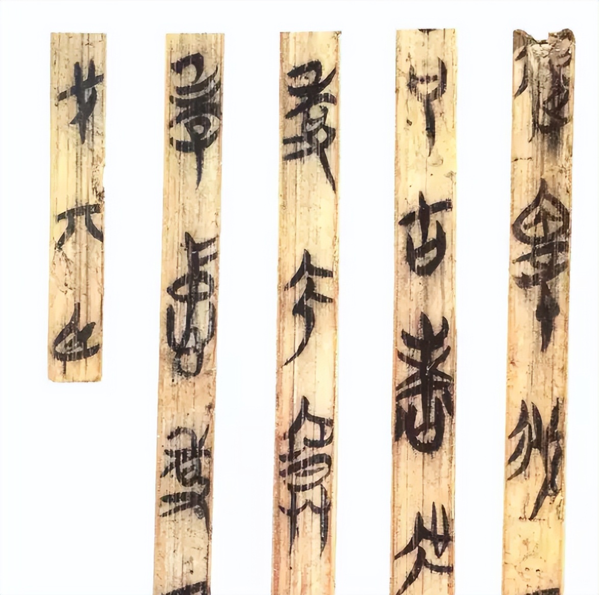 揭秘郭店楚墓竹简，它的身上“背负”哪一些故事？_百科TA说