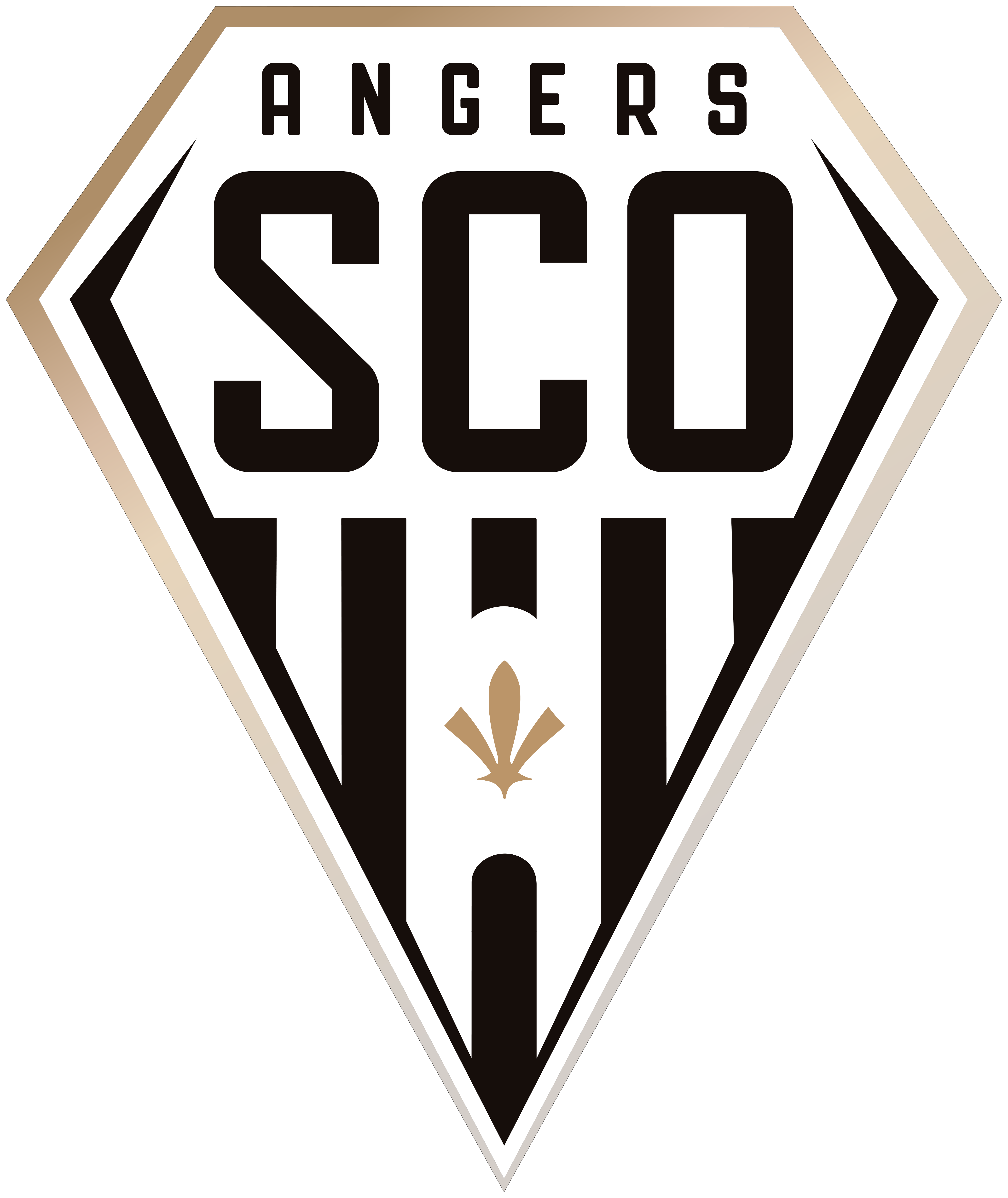 法国足球甲级联赛