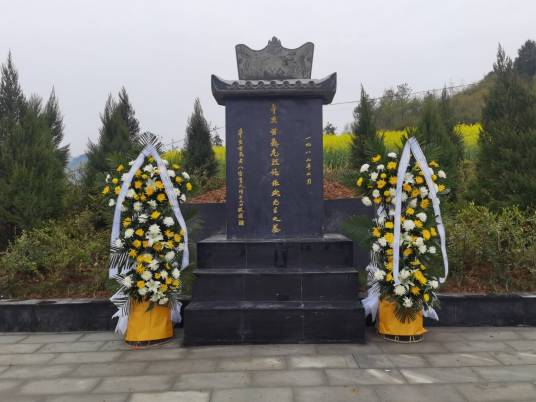 张振武烈士之墓_百度百科