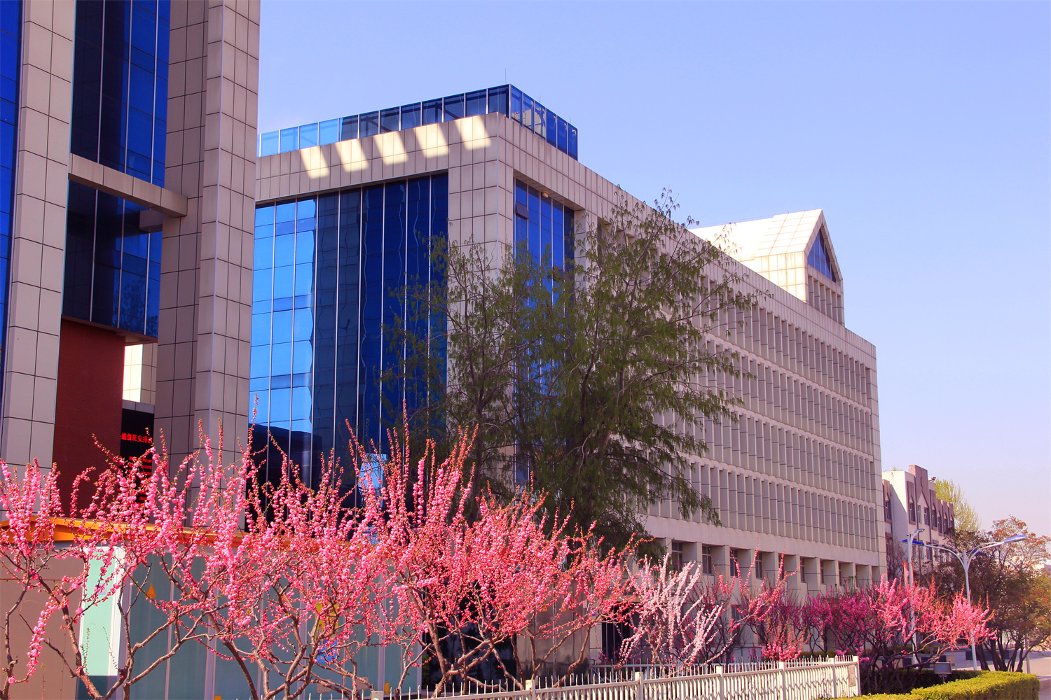 河北省怀来县沙城中学