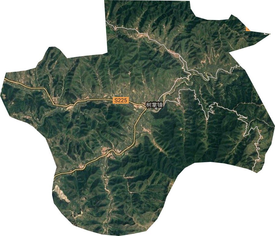 树掌镇