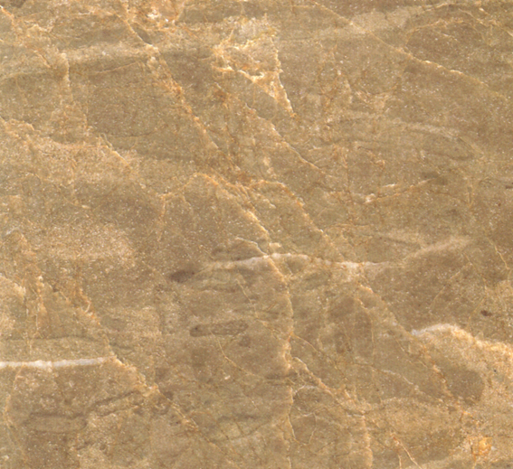  p>浅啡网纹大理石产自河北,英文名emperador ligh.