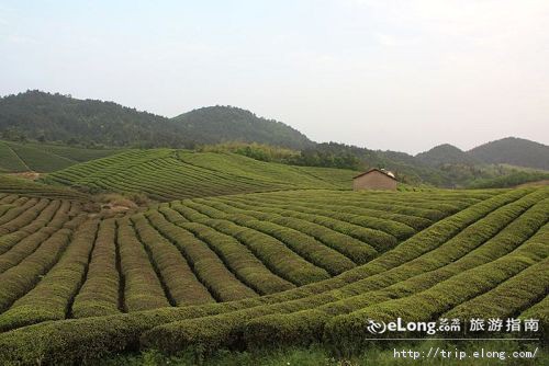 大石浪地处中国竹乡 a target="_blank" href="/item/安吉县/1243332"
