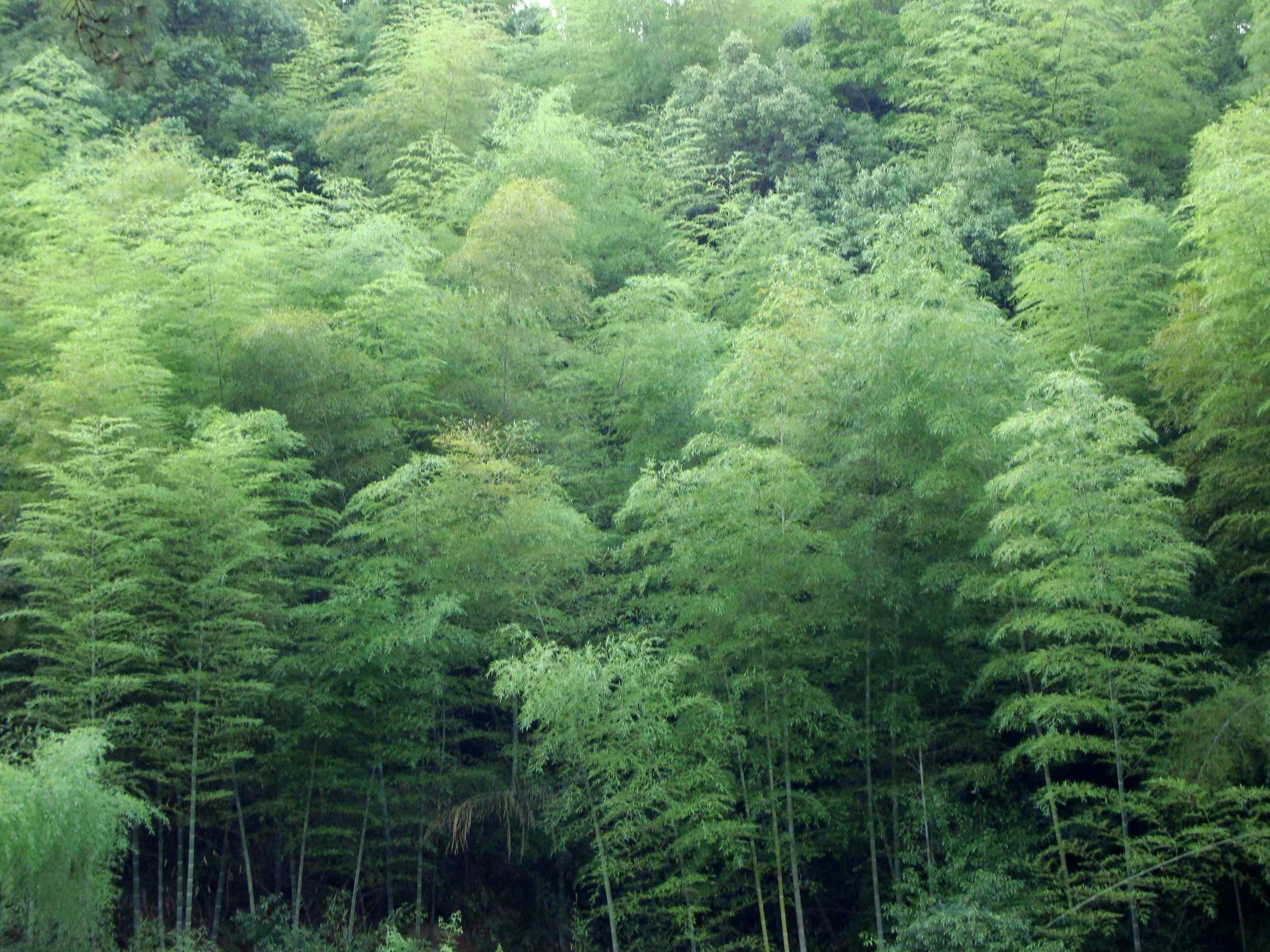  p>江南丘陵,是 a href="#">中国三大丘陵 /a>之首 a href="#">东南