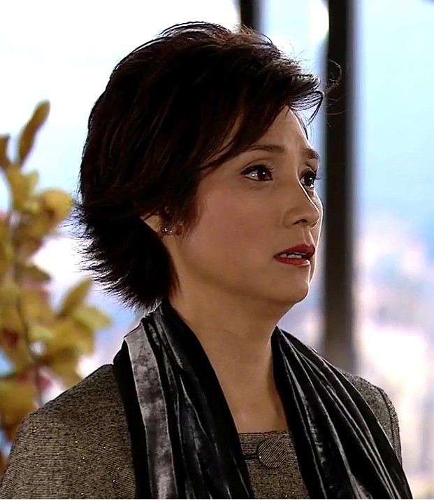  p>《富贵门》是由香港电视广播有限公司(tvb)2008年制作的商战电视剧