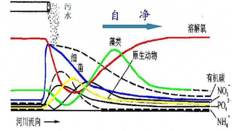 随着时间的推移在向下游流动的过程中自然降低,称为水体的自净化作用