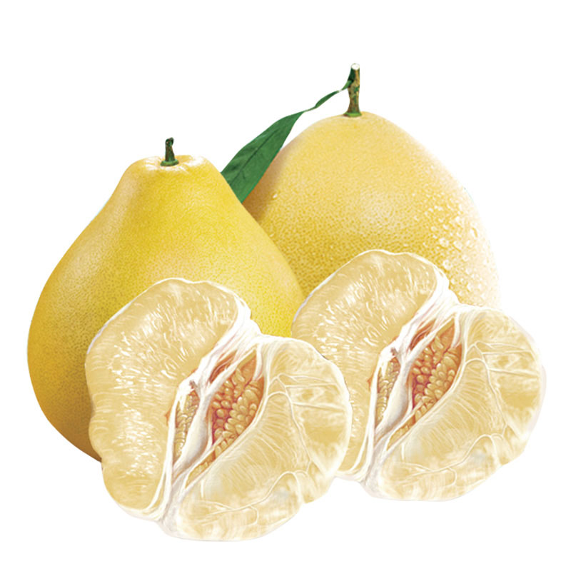 data-id="go04ywg4mu">蜜柚( i>honey pomelo /i>),又名香抛,系柚子