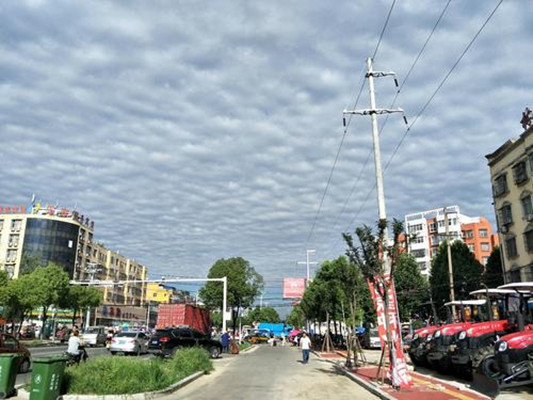 data-lemmaid="59474">河南省 /a>信阳市固始县,地处 a target="