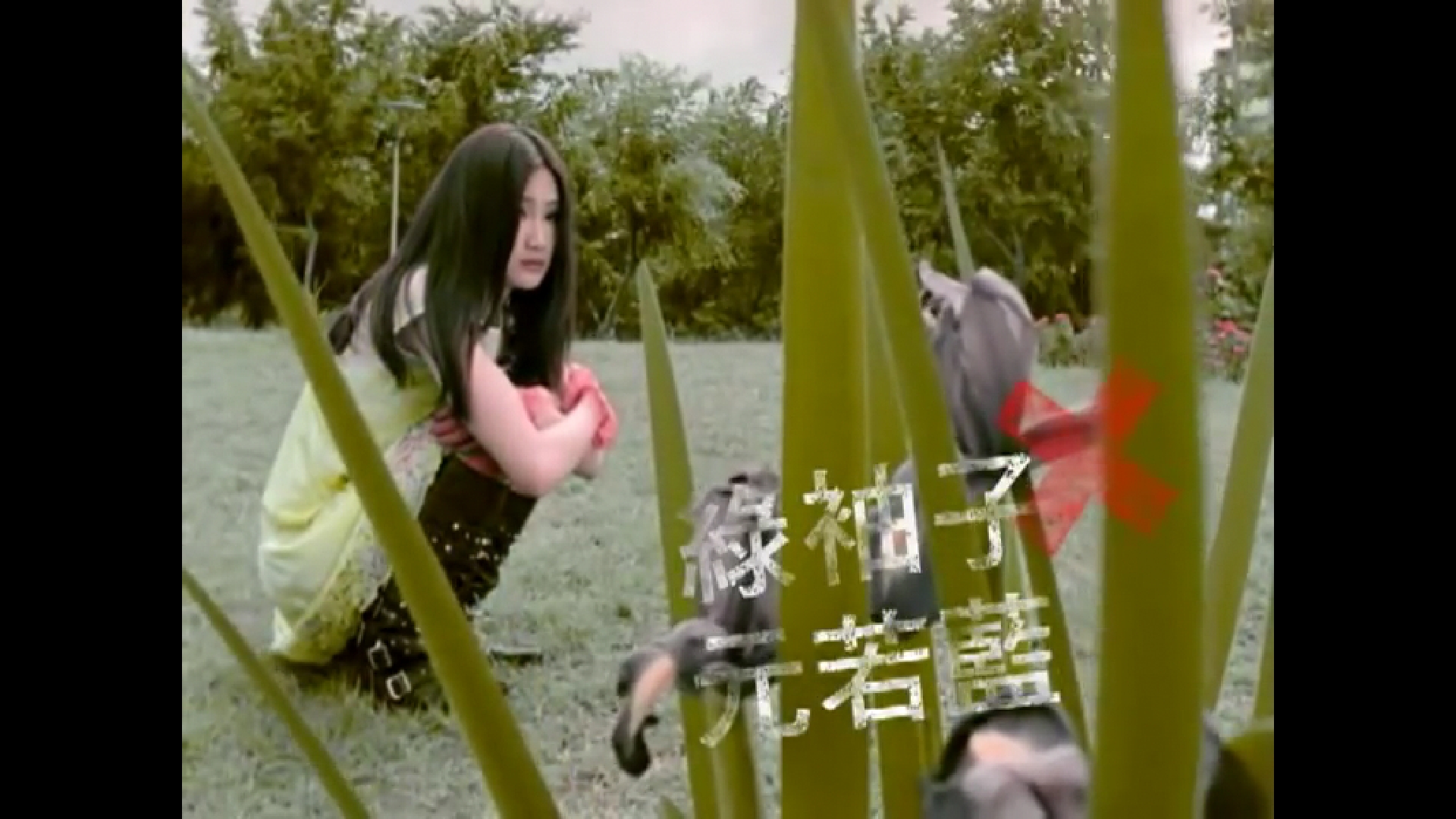 绿袖子》是一首由 a target="_blank" href="/item/元若蓝/11017941"