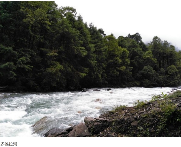  p data-id="gnwg47q3yk">多雄拉河:是墨脱县西部的河,发源于 a
