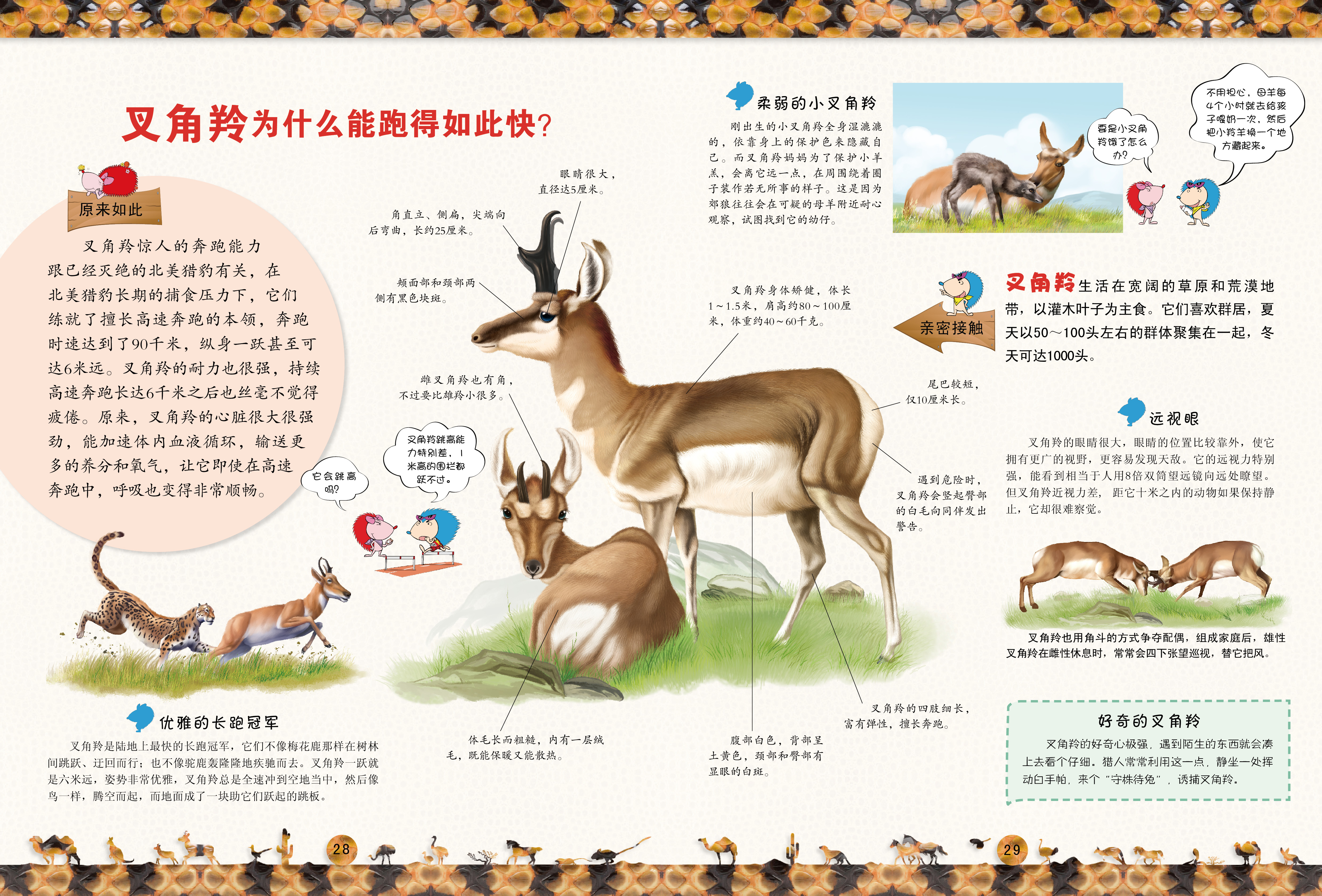 趣味图解动物大百科