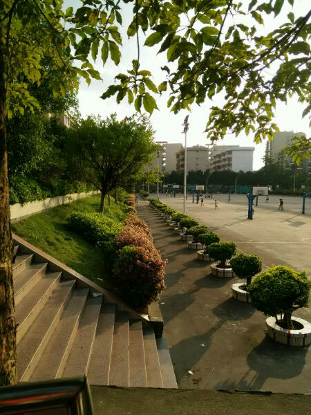 学校成立于1978年8月,原名藤城中学,有挂榜校区富吉校区两个校区.