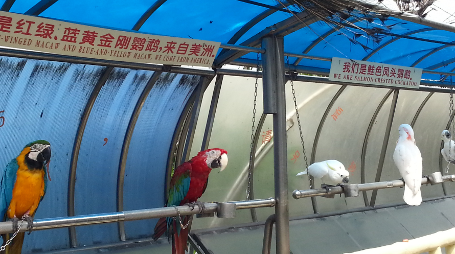  p>百鸟园位于风景优美的 a target="_blank" href="/item/白玉山