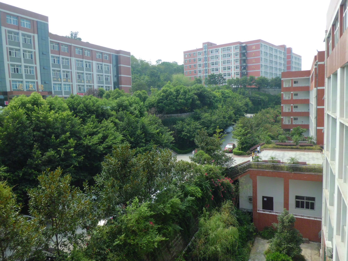 重庆市万州区新田中学