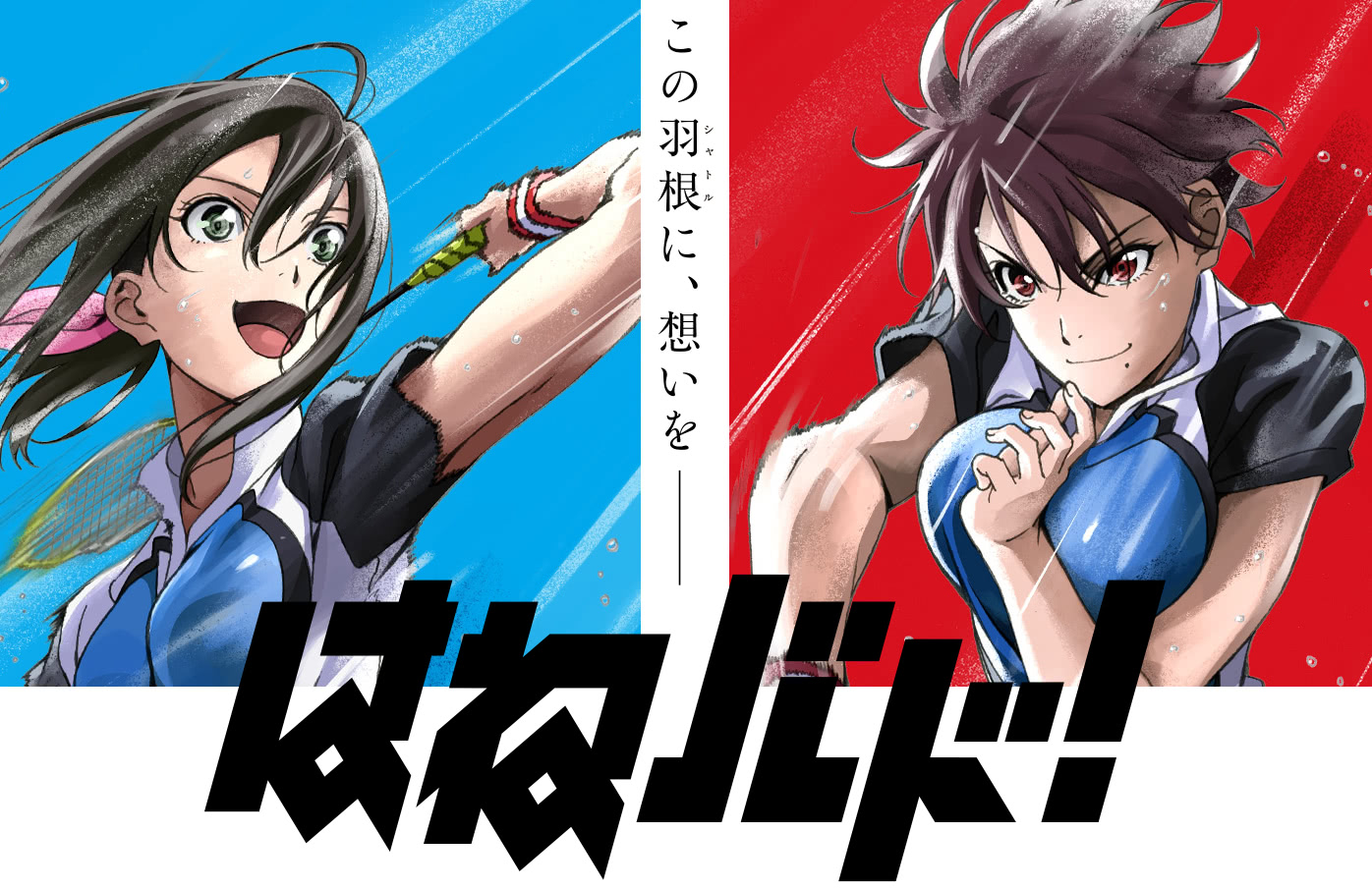  p>电视动画《轻羽飞扬》改编自滨田浩辅原作的同名漫画,由 a target=