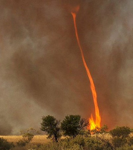  p>藤缠楼,又称火龙卷,火焰魔鬼,是因为温暖的上升气流接触到地面上的
