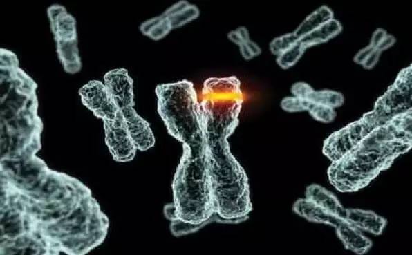 人体中98.5%的“垃圾DNA”到底有什么用？_百科TA说
