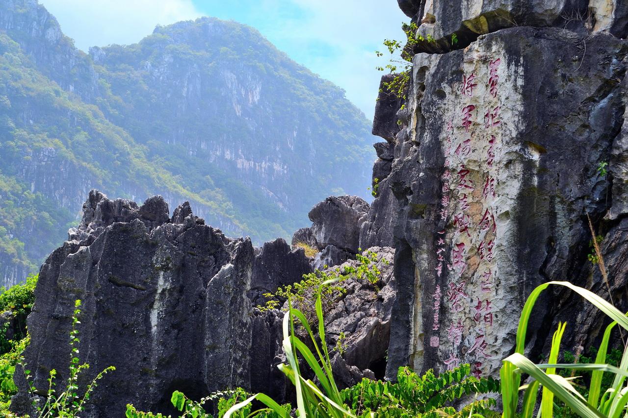 又名"莲花洞石林",位于阳春市春湾镇春湾风景区内,占地200多亩,山上有