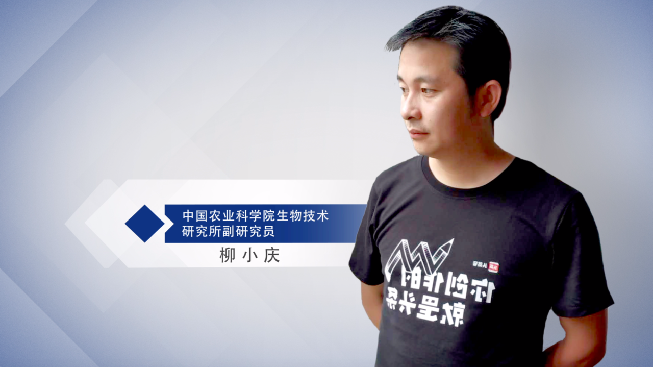 我们身边的转基因食品有哪些？