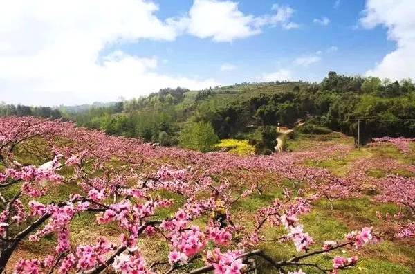  p>桃花山位于安徽省广德县县城东南35公里,海拔653.