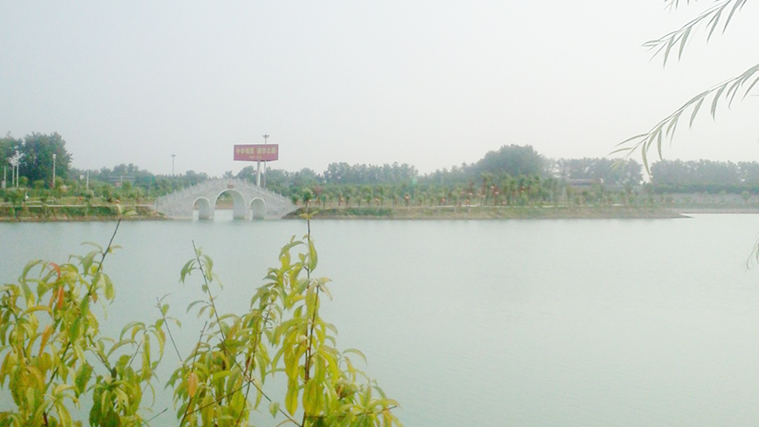 沈丘县中华槐园