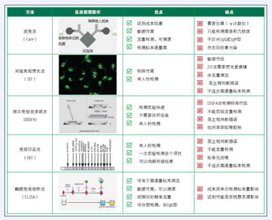 抗DNA抗体_百度百科