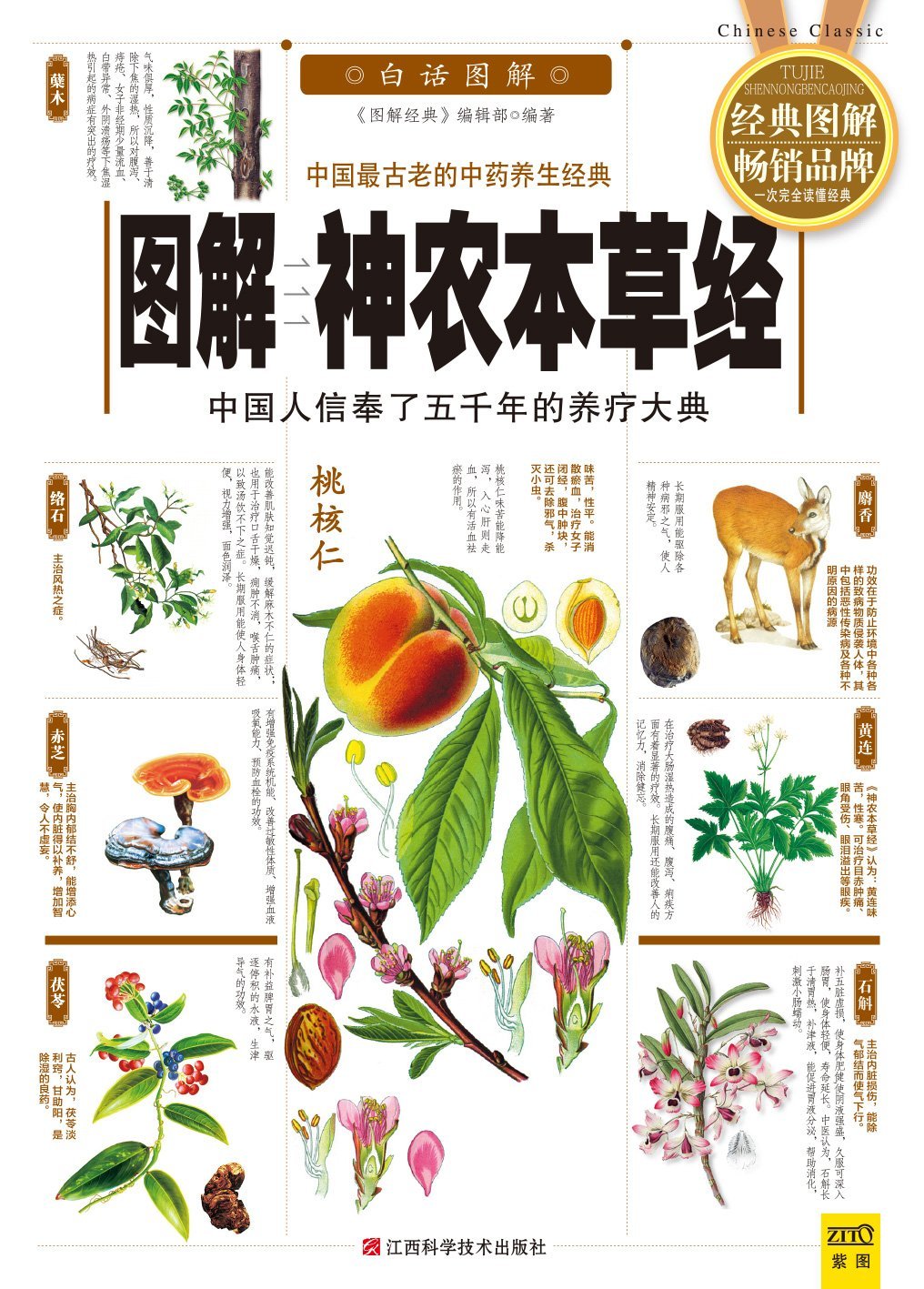生活新实用:图解神农本草经