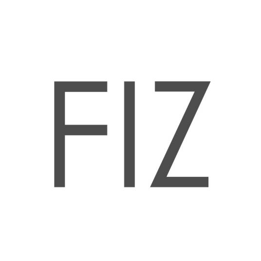 FIZ_百度百科