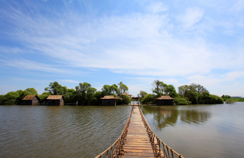 哈尔滨金河湾湿地植物园