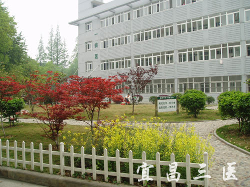 宜昌市第三人民医院