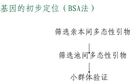 BSA（集团分离分析法）_百度百科